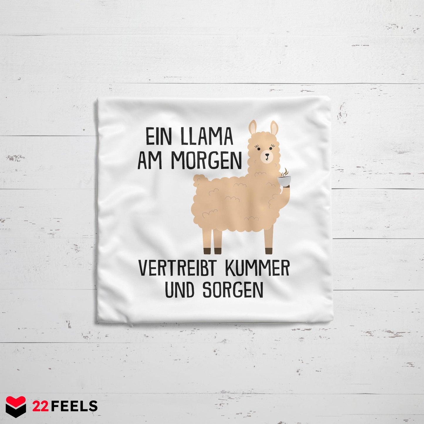 22Feels® Kissen mit Llama Tiermotiv - Büro Geschenkidee - Spruch: Kummer und Sorgen (Weiss, 40x40cm)-Kissen Weiss 40x40-22Feels