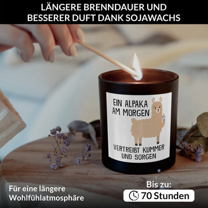 22Feels® Lustige Spruchkerze Frauen Alpaka Geschenk HANDGEMACHTE Sojawachs Duft-Kerze im Glas (ZITRUS, VEGAN)-Spruchkerzen B1K1-22Feels
