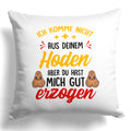 22Feels® Stiefvater Geschenk - Kissen mit Spruch (Weiss 40x40cm)-Kissen Weiss 40x40-22Feels