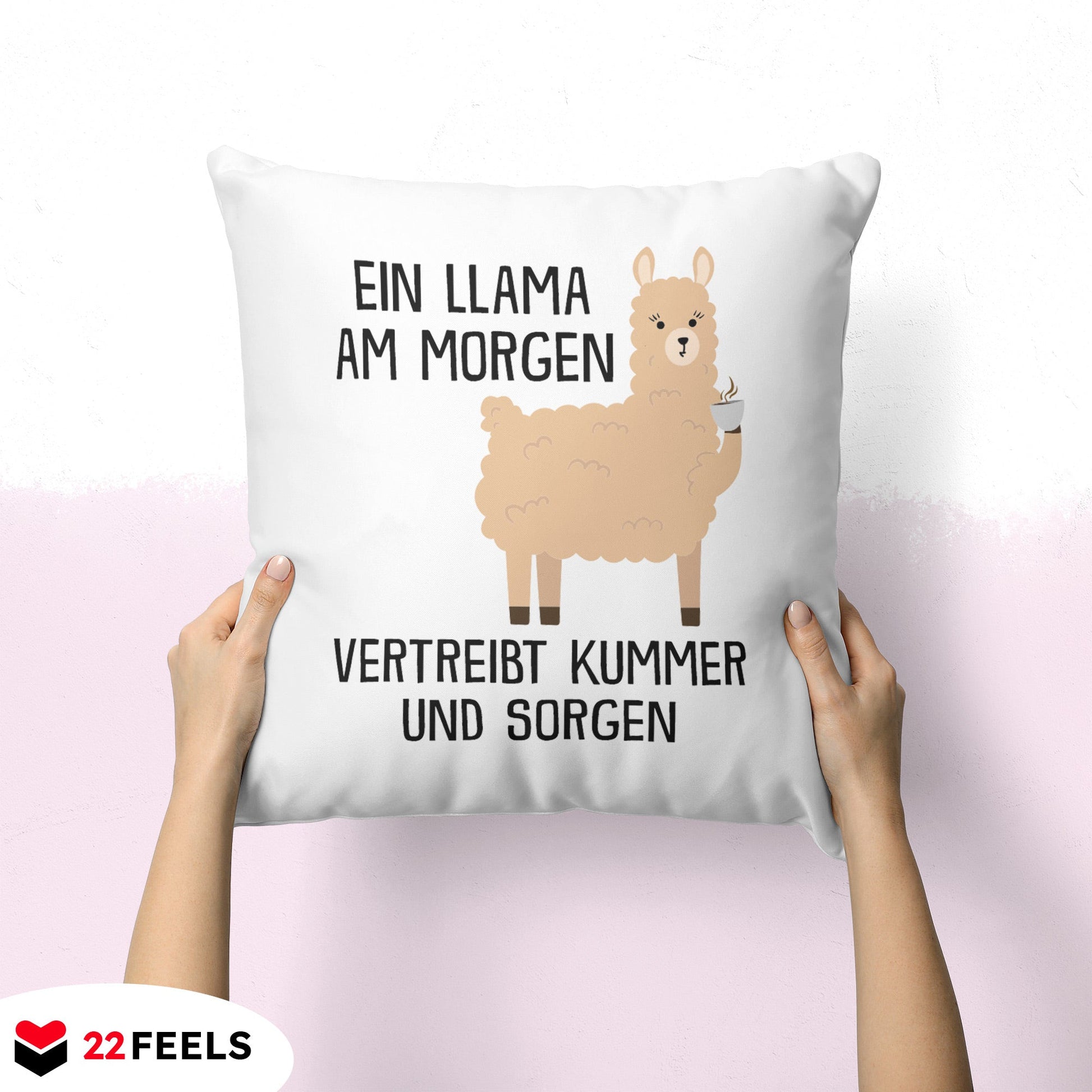 22Feels® Kissen mit Llama Tiermotiv - Büro Geschenkidee - Spruch: Kummer und Sorgen (Weiss, 40x40cm)-Kissen Weiss 40x40-22Feels