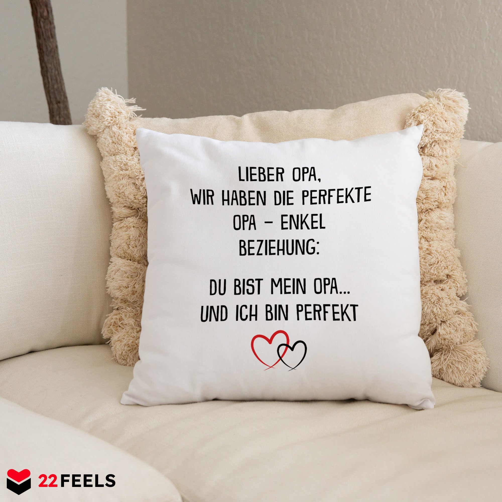 22Feels® Opa Geschenk von Enkel - Kissen mit Spruch: Perfekte Beziehung (Weiss 40x40cm)-Kissen Weiss 40x40-22Feels