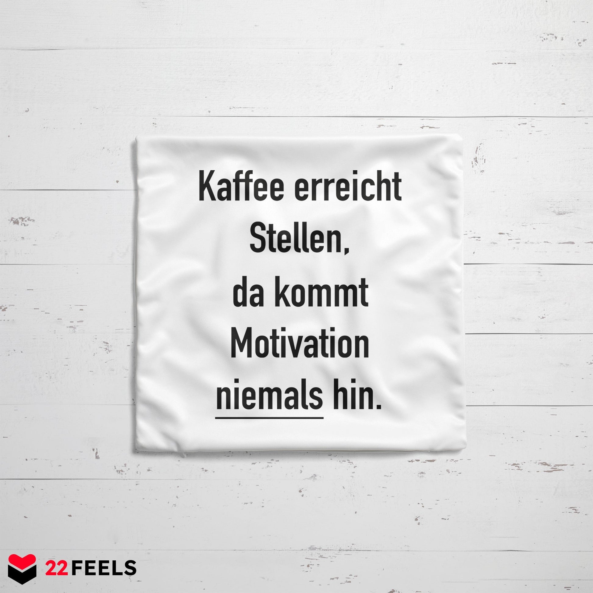 22Feels® Lustiges Kissen mit Spruch, Deko für Zuhause oder das Büro - Geschenkidee (Weiss 40x40cm)-Kissen Weiss 40x40-22Feels